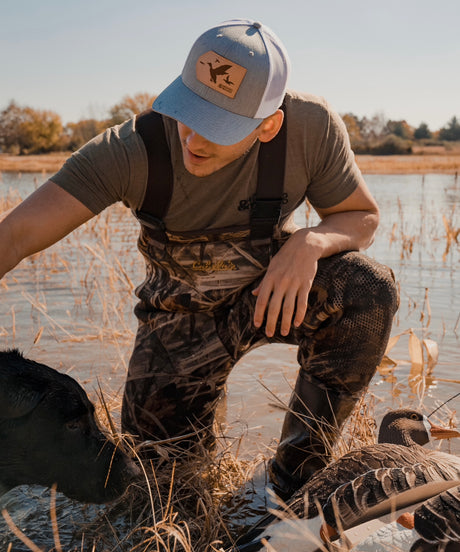 Waterfowl Collection