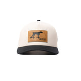 Pointer Dog - Full Cloth Curved Bill Hat