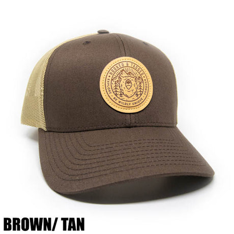 H&T Explore Bear Patch Hat - (Curved-Brim)